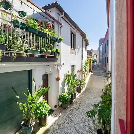 Apartment Boutique Leiria